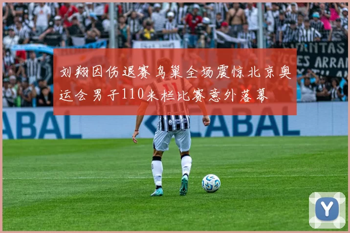 刘翔因伤退赛鸟巢全场震惊北京奥运会男子110米栏比赛意外落幕