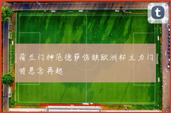 荷兰门神范德萨伤缺欧洲杯主力门将悬念再起