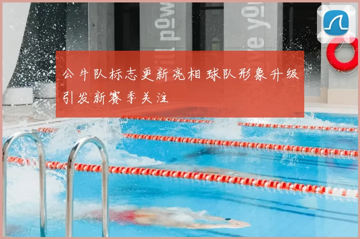 公牛队标志更新亮相 球队形象升级引发新赛季关注
