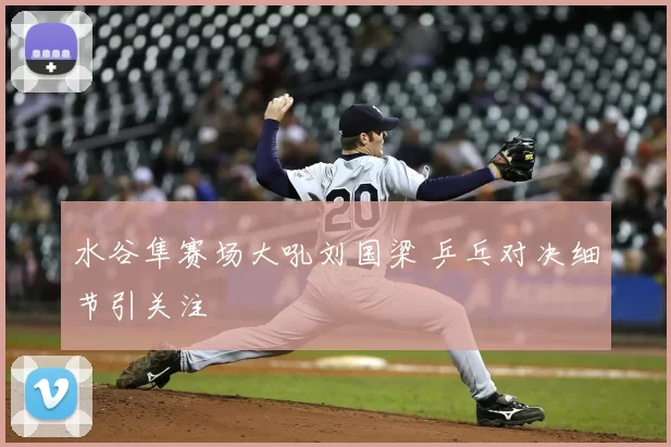 水谷隼赛场大吼刘国梁 乒乓对决细节引关注